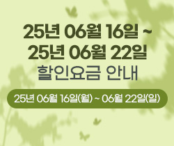 할인요금