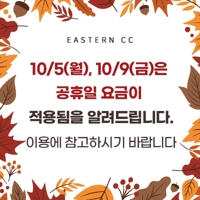 대체공휴일