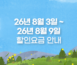 할인요금