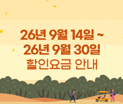 할인요금